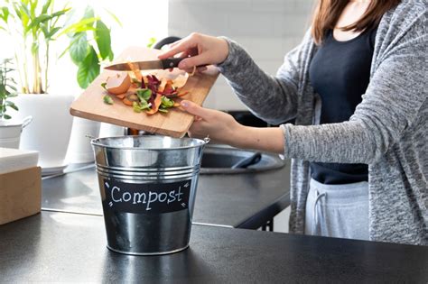 A Step By Step Guide To Composting In The Winter - The Eco Hub