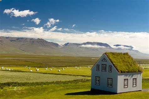 Top 10 Iceland Farms to Visit or Stay on Vacation