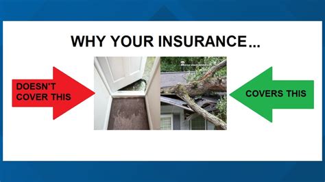 Storm damage: what insurance covers | wfmynews2.com