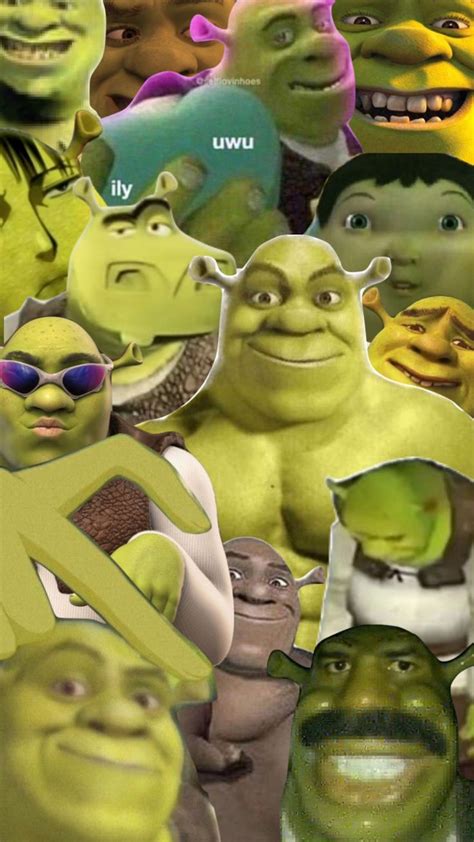 You just got shreked #shrek #aesthetic #swamplife | Шрек, Смешные ...