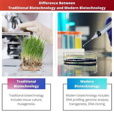 Bioteknologi Jenis, Contoh, dan Produk yang Dihasilkan