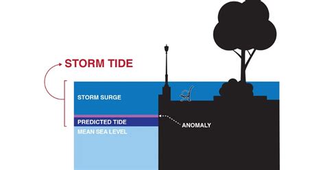 Explainer: What is 'storm surge'