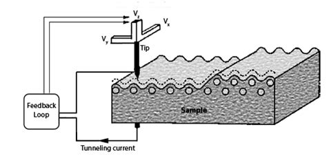 Scanning Tunneling Microscopy | Nanoscience Instruments