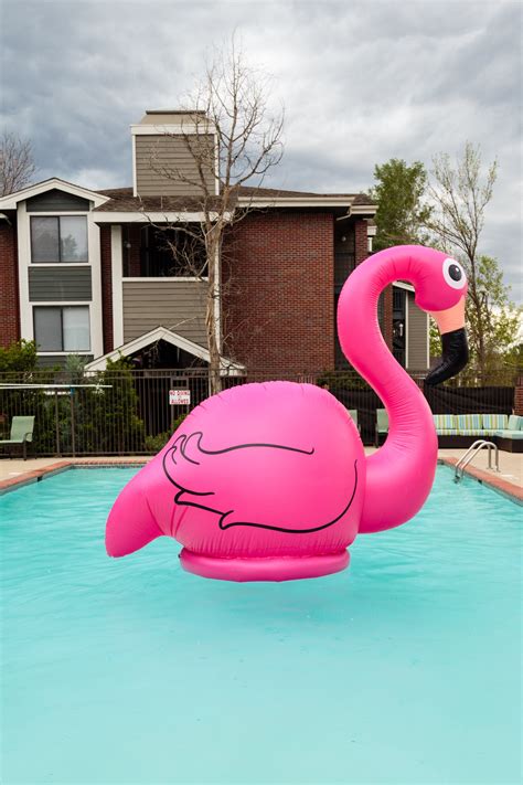 10-Foot Tall Giant Pink Flamingo Pool Float | Shinesty