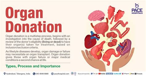 Organ Donation - Types, Process, Registration & Importance