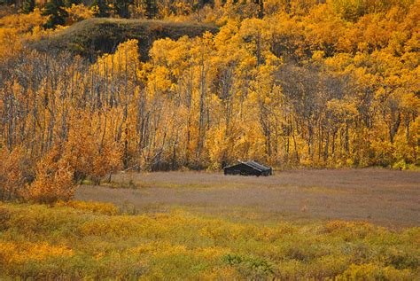 Visiting Montana in the Fall Season Brings Beauty : Big Sky Blog