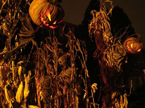 Pin by Louie Hernandez on Pumpkin Scarecrows | Halloween maze, Halloween yard decorations, Scarecrow