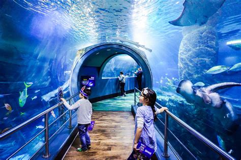 14 Best Indoor Things To Do in Melbourne With Kids