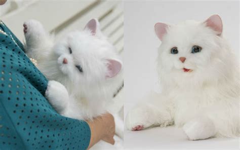 Japan’s New Meowing, Purring, Realistic Robot Cat Companion Loves You ...