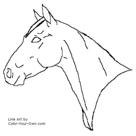 Quarter Horse Head Drawings