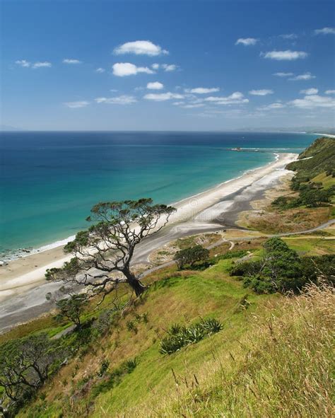 Mangawhai Heads beach stock photo. Image of wave, green - 14915824