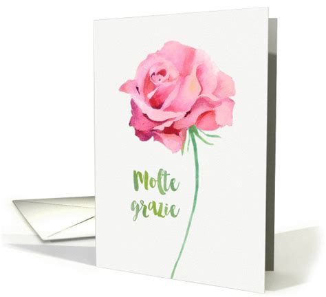 Thank you in Italian, Watercolor Pink Rose card (1382296)