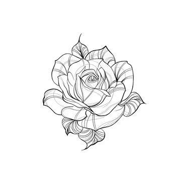 Update 71+ 2 roses tattoo design latest - in.cdgdbentre