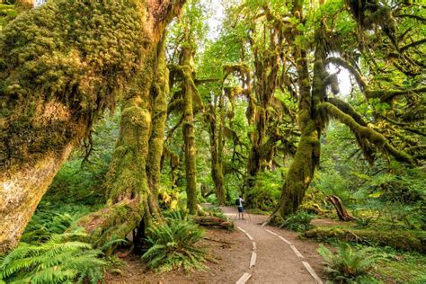 10 Most Silent Places in the World - 10 Most Today