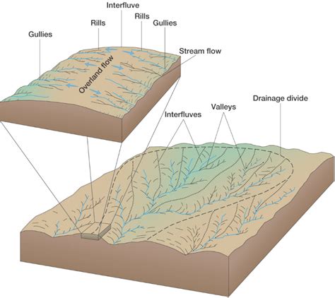 Fluvial landforms & hierarchical organisation — EarthSurface 0.0.1 ...