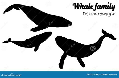 Humpback Whale Black Silhouette Stock Vector - Illustration of animal, ocean: 113297930