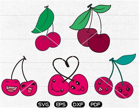 Cherry Clipart Cherry SVG cricut silhouette cut files | Etsy