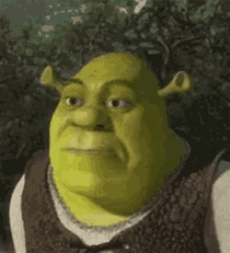 GIFs de Shrek Meme | Tenor