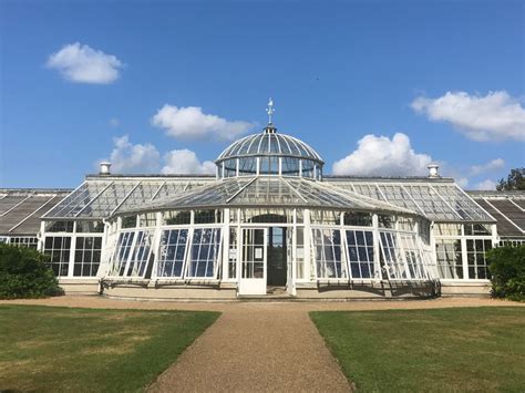 Chiswick House Conservatory – Dolmen Conservation & Joinery