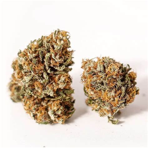 The Complete Guide to CBG Flower | Top 5 CBG Strains