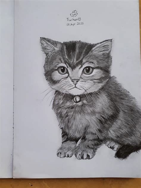 How To Draw A Realistic Kitten Step By Step