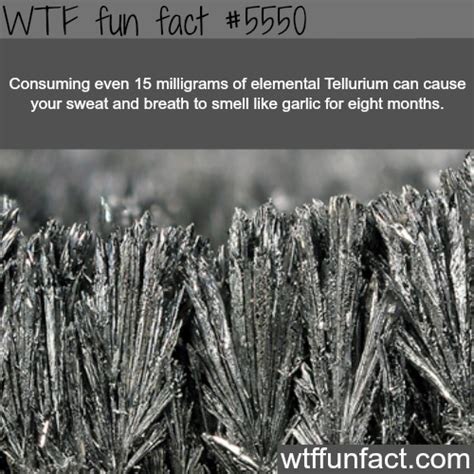 tellurium on Tumblr