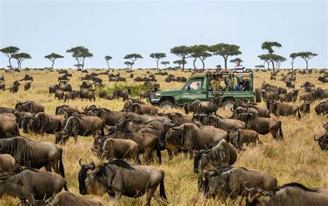 The Maasai Mara Game Reserves - Micato Safaris