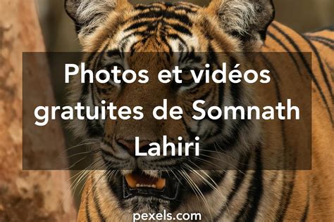 Somnath Lahiri - Photographie