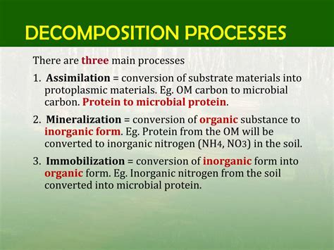 PPT - ORGANIC MATTER DECOMPOSITION PowerPoint Presentation, free ...