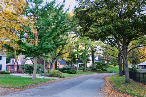 Forest-Hills - Forest Hills Neighborhood Association