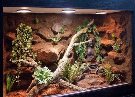 Pin von Kiss S. Zsolt auf terráriumok | Reptilien terrarium, Schlangen terrarium, Terrarium