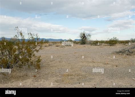 Mojave desert scene Stock Photo - Alamy