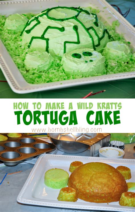 How to Make a Wild Kratts Tortuga Cake
