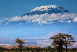Arizona woman, 89, becomes oldest person to climb Kilimanjaro - PanARMENIAN.Net