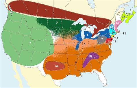 The United States Of Accents: California English