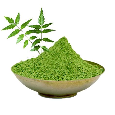 7 Big Reasons to Add Neem Powder to Your Daily Routine