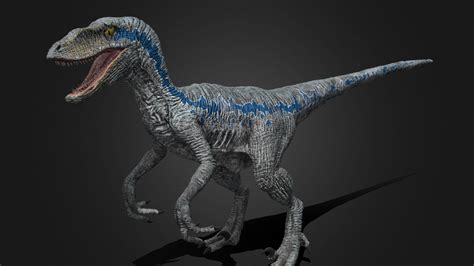 Velociraptor Blue