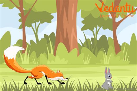 The Fox and Rabbit Stories with Moral in English | Interesting Stories ...