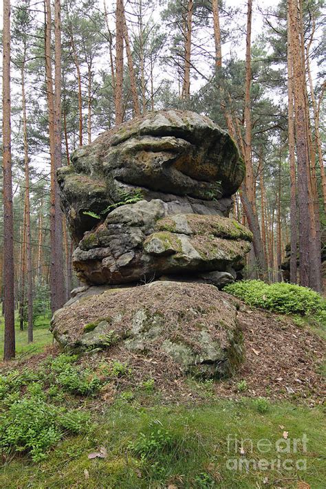 Rock Formation In The Forest Photograph by Michal Boubin - Fine Art America