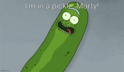 pickle rick Memes & GIFs - Imgflip