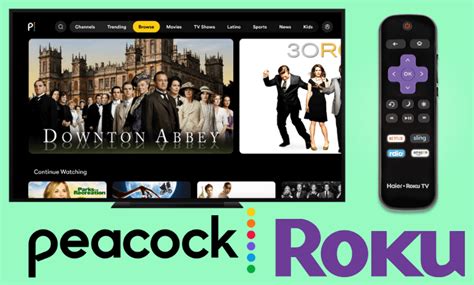 How to Add and Watch Peacock TV on Roku - TechOwns