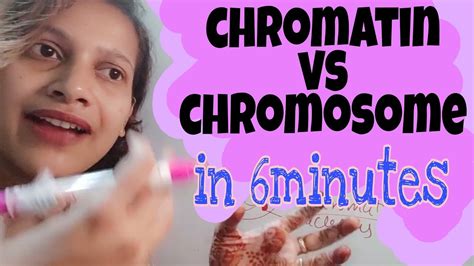chromatin vs chromosome : FeLiNas PCMB - YouTube