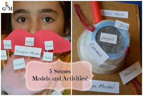 Solagratiamom: 5 Senses - Models and Activities!