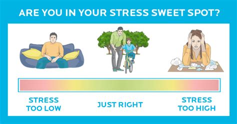 Good stress, bad stress. [Infographic] Here’s how to find your stress sweet spot.