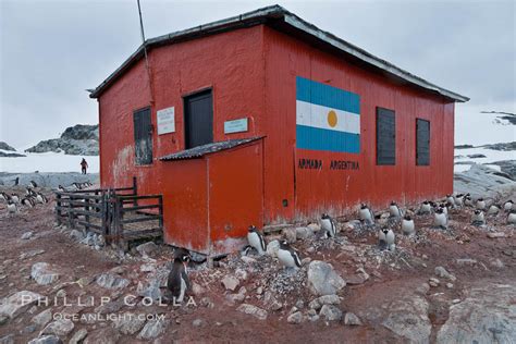 Peterman Island, Antarctica – Natural History Photography Blog