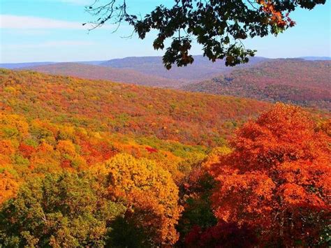 Artist point, Boston Mountains, Arkansas | Arkansas road trip, Ozarks, Favorite places