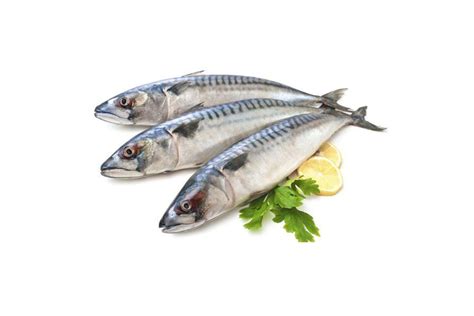 PACIFIC MACKEREL – Thai Unifood Services