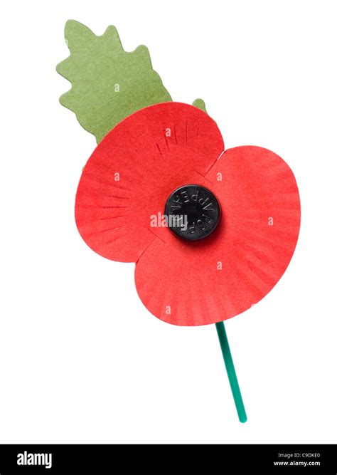 Royal British Legion poppy for November Poppy Appeal Stock Photo ...