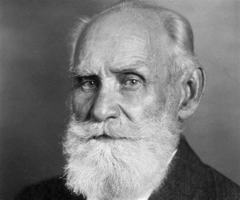 Ivan Pavlov Biography - Childhood, Life Achievements & Timeline