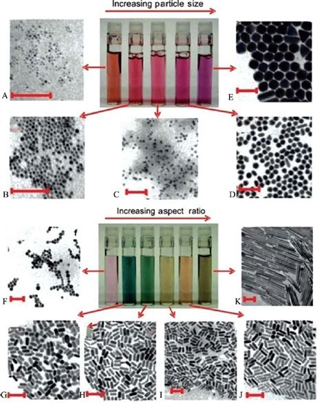 [PDF] Gold nanoparticles: various methods of synthesis and antibacterial applications ...